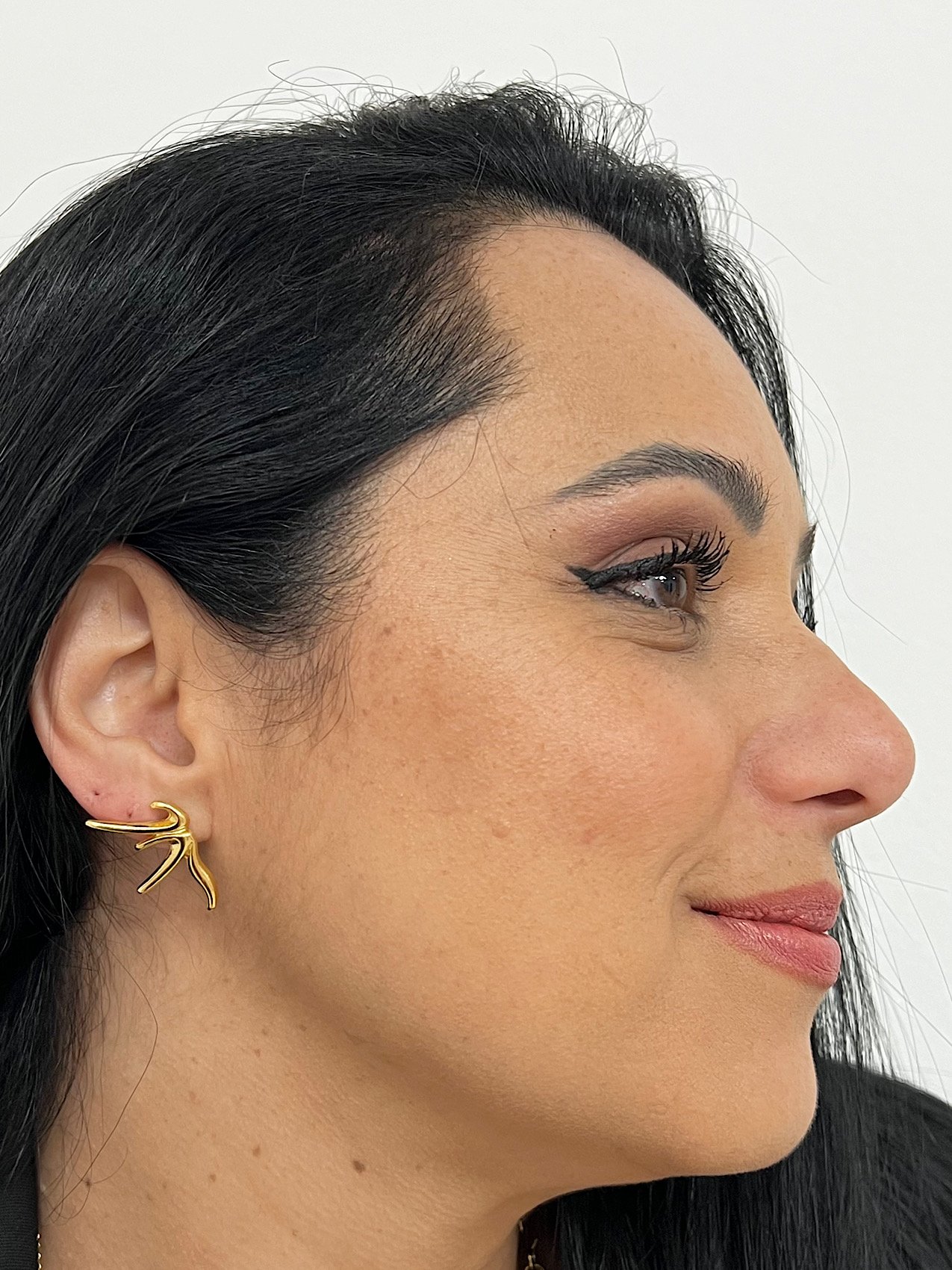 Brinco Folheado a Ouro 301