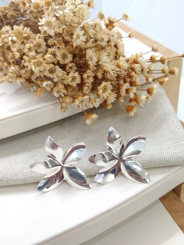 Brinco Folheado a Prata 204