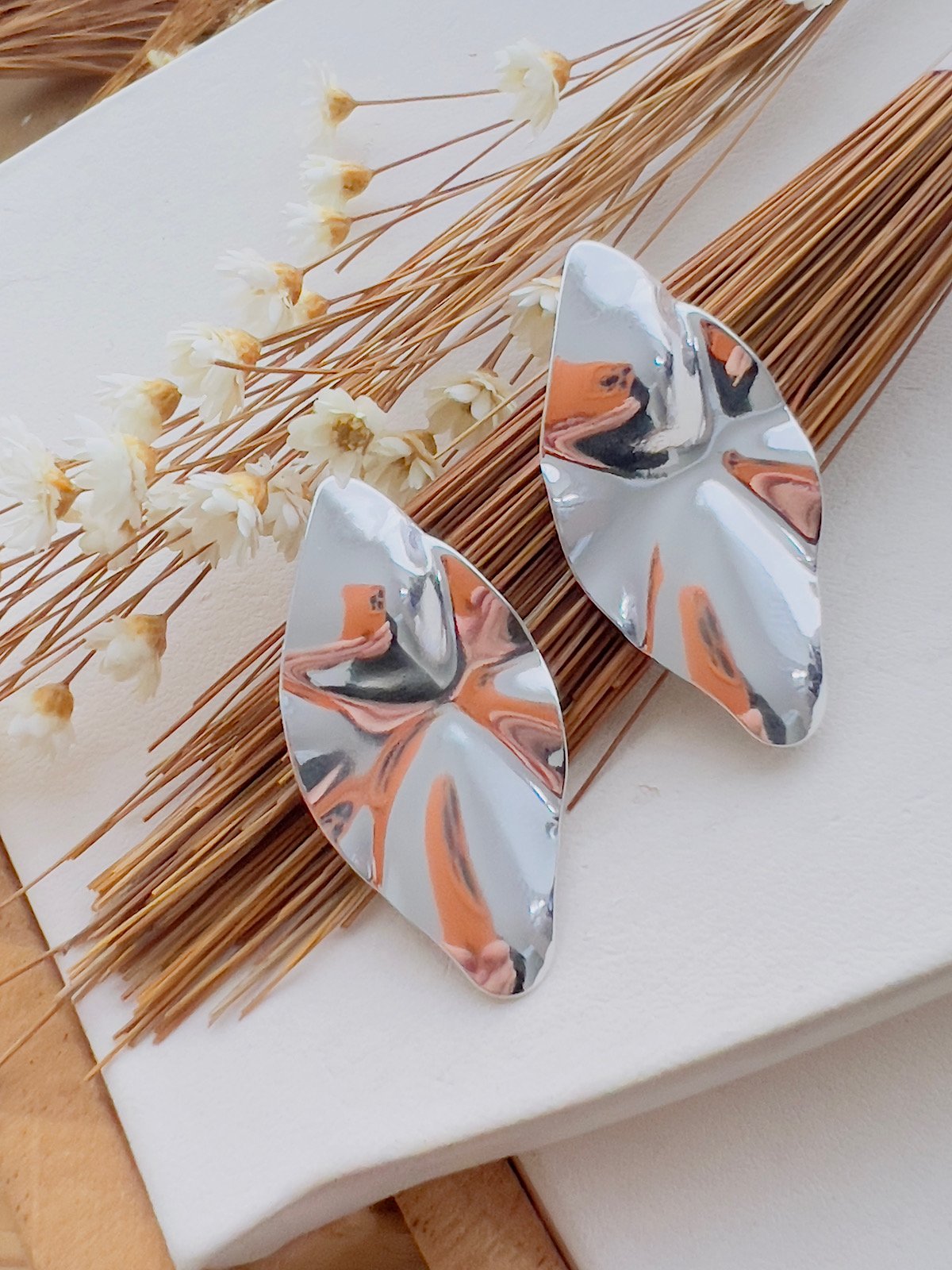 Brinco Folheado a Prata 205